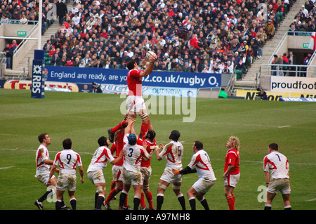 Robert Sidoli Line-out Jumper 2350 Stockfoto