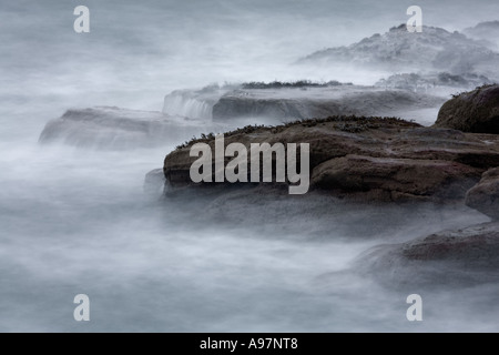 North Berwick Küste, Midlothian, Scotland Stockfoto