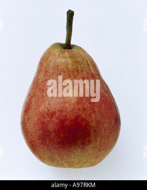Eine rote Bartlett Birne FoodCollection Stockfoto