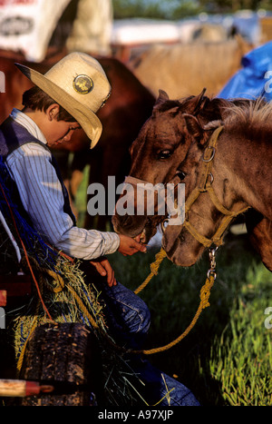 KLEINER JUNGE REITEN FEEDS WÄHREND SPENDENAKTION WAGEN IN MINNESOTA. Stockfoto