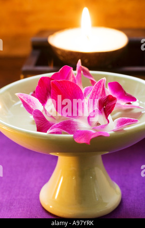 Thai Tisch Dekoration Orchideen in Schüssel mit Wasser-Kerze FoodCollection Stockfoto