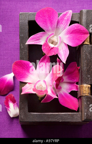 Thai Tisch Dekoration Orchideen in Holzkiste FoodCollection Stockfoto