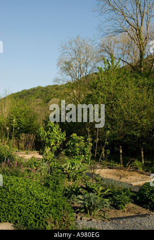 Permakulturgarten mit Obstbäumen und Kräuterpflanzen im Frühling, Wales, Großbritannien. Stockfoto