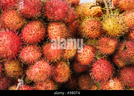 Stäbchen, eine leckere tropische Früchte (Nephelium Lappaceum), Ho-Chi-Minh-Stadt (Saigon), Vietnam Stockfoto