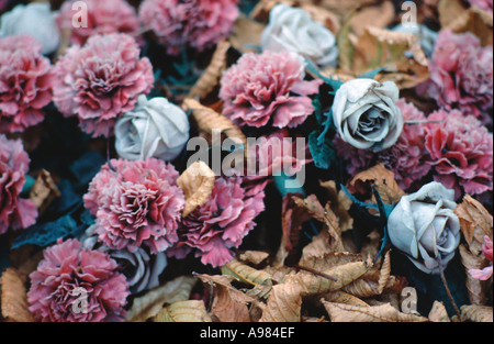 Blumen auf ein Grab auf dem Friedhof Père Lachaise in Paris Frankreich Stockfoto