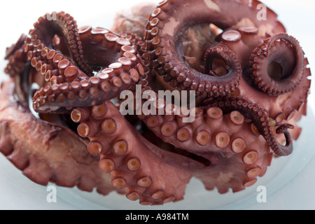 Geräucherte Oktopus FoodCollection Stockfoto