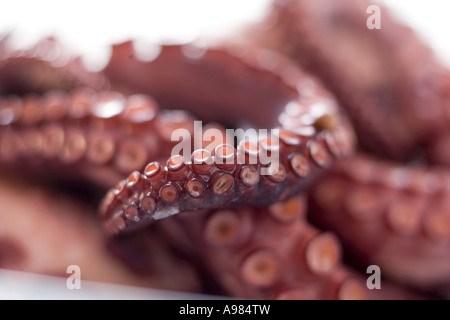 Geräucherte Oktopus FoodCollection Stockfoto