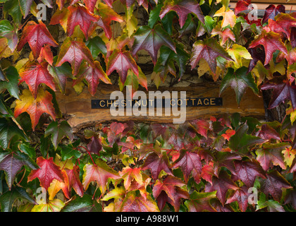 Holzhaus Schild namens Kastanie Häuschen umgeben von farbenfrohen herbstlichen Schlingpflanze in c Stockfoto