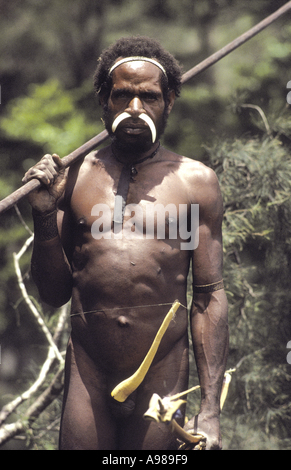 Ein Mann Dani im Hochland von West-Papua Stockfoto