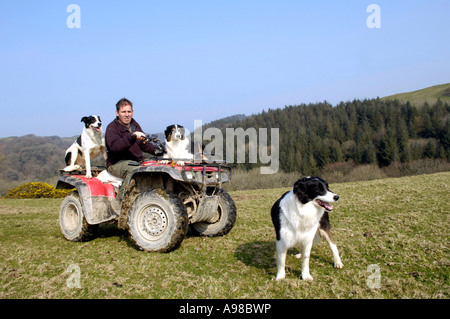 Devon Landwirt David Kennard bei der Arbeit mit seinen Hunden auf Quad-Bike auf Mortehoe. Stockfoto