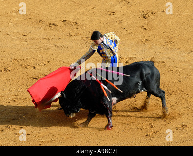 Stierkampf in Sevilla Stockfoto