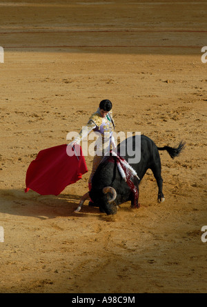 Stierkampf in Sevilla Stockfoto