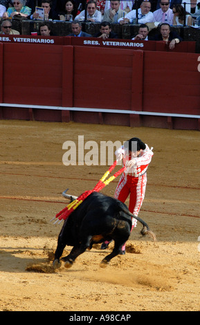 Stierkampf in Sevilla Stockfoto