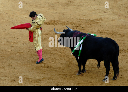 Stierkampf in Sevilla Stockfoto