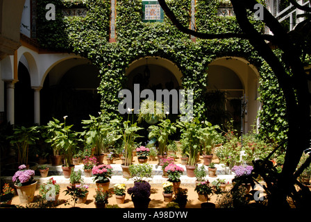 Terrasse in Sevilla, Spanien Stockfoto