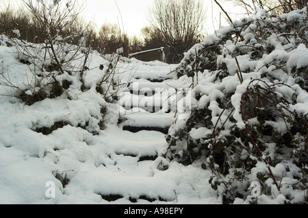 Schritte mit Schnee Stockfoto