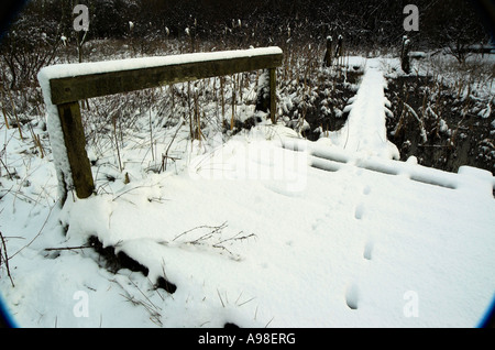 Fox Pawprints im Schnee auf Brücke in Parkhall Landschaft Park, Stoke-on-Trent Stockfoto