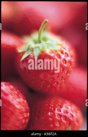 Fresh Strawberries UK Stockfoto