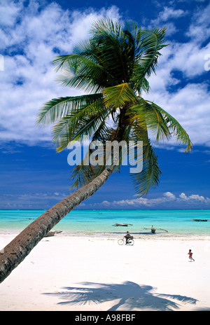 Strand Sansibar Tansania Stockfoto