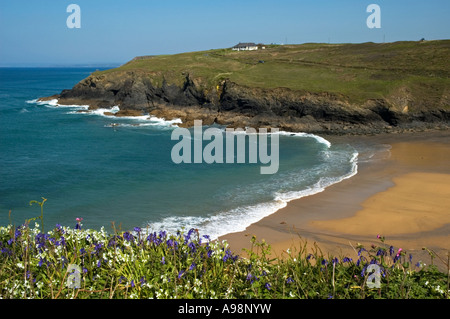 Poldhu Bucht in der Nähe von Pfosten in Cornwall, england Stockfoto