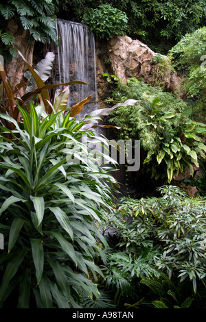 Schöne Thai botanische formale Ziergarten basierend auf dem Hotelgelände Dusit Resort in Pattaya, Süd-Thailand Stockfoto