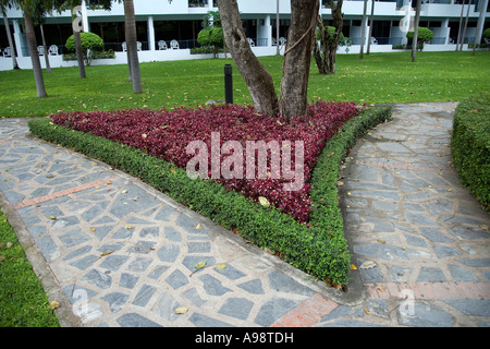 Schöne Thai botanische formale Ziergarten basierend auf dem Hotelgelände Dusit Resort in Pattaya, Süd-Thailand Stockfoto