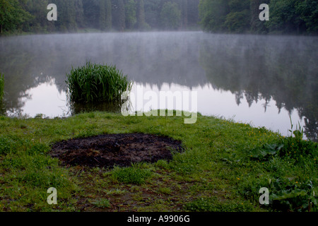 Ein nebeliger Morgen an einem ruhigen See mit grüner Vegetation und Resten eines Lagerfeuers am grasbewachsenen Ufer. Stockfoto