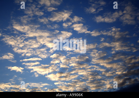 Ein wunderschöner Himmel mit verstreuten, flauschigen Wolken, beleuchtet durch das sanfte Licht der Morgendämmerung, schafft eine ruhige und friedliche Atmosphäre. Stockfoto