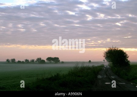 Ein nebeliger Morgen auf dem Land mit einer unbefestigten Straße, die bei Sonnenaufgang unter bewölktem Himmel durch Felder und Bäume führt. Stockfoto