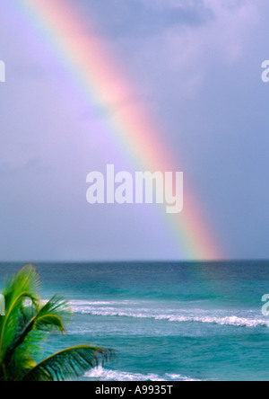 Regenbogen in Barbados in der Karibik Stockfoto