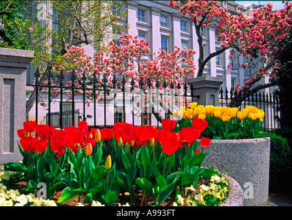 Das US-Finanzministerium im Frühjahr in Washington DC, USA Stockfoto