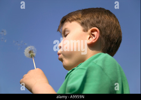 Kleiner Junge bläst die Samen von einem Löwenzahn Stockfoto