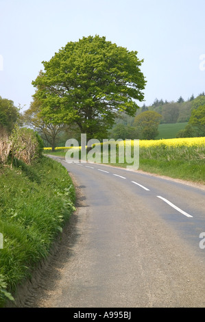 Einzige Straße führt durch die englische Landschaft Stockfoto