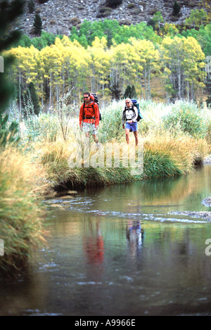 Mann und Frau backpacking durch hohe Gräser neben Green Creek CA goldene gelbe Bäume und Evergreens im Hintergrund Stockfoto