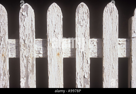 Detail der Lattenzaun oder Schwenktür lackiert weiß aber peeling schlecht im Sonnenlicht und kontrastieren mit dunklem Hintergrund Stockfoto