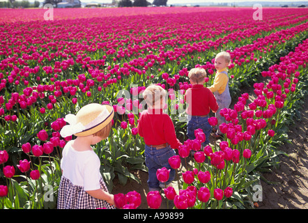 Vier 3 jährige Kinder unter violette Tulpen im großen Feld an einem sonnigen Tag zu Fuß Stockfoto