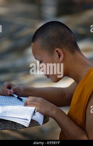 Junger Mönch Studium an Wat Phrathat Doi Suthep Rajvoravihara in Chiang Mai Thailand Stockfoto