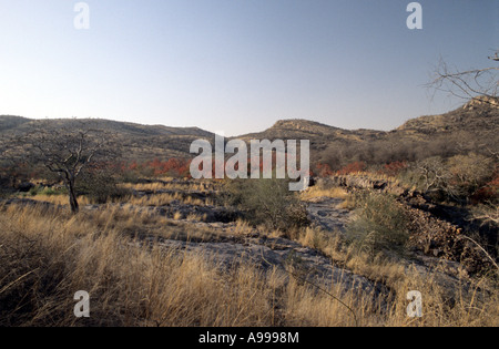 Ranthambhore Landschaft Stockfoto