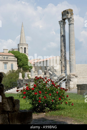 Frankreich französische EU Europäische Union Europa westlichen Arles EWG Süd Provence Provence Stockfoto