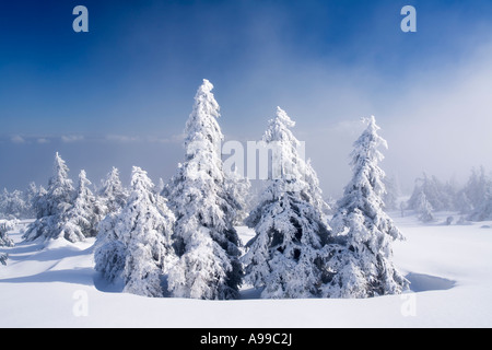 Winterlandschaft auf Mt. Brocken Sachsen Anhalt-Deutschland Stockfoto