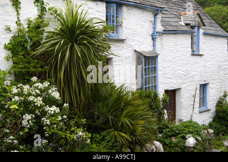 Weiß lackiertes Häuschen, Boscastle, Cornwall, UK. Stockfoto