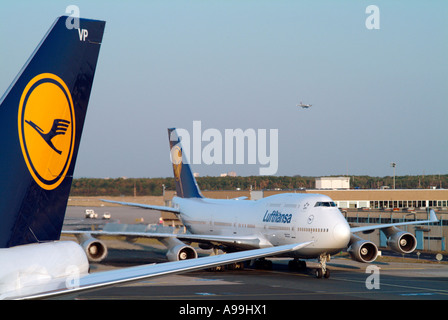 Flugzeuge der Lufthansa auf dem Flughafen Fraport Frankfurt Am Main Stockfoto