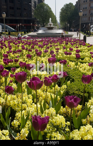 Frühling Blumen in der Sonne, Plaza Moyua, Bilbao, Nordspanien, Europa. Brunnen im Hintergrund. Stockfoto