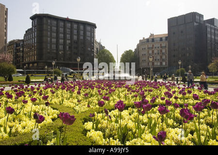 Frühlingsblumen in der Sonne, Plaza Moyua, Pais Vasco Bilbao / Baskenland, Nord-Spanien und Europa. Stockfoto