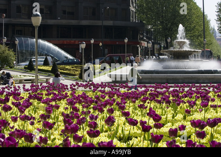 Frühling Blumen in der Sonne, Plaza Moyua, Bilbao, Nordspanien, Europa. Brunnen und Fosterito im Hintergrund. Stockfoto