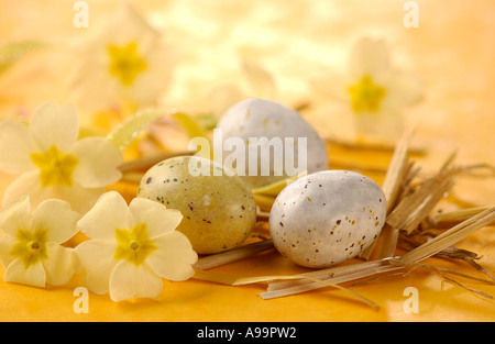 Vogeleier, umgeben von Frühlingsblumen Stockfoto