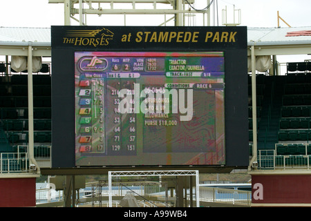 Pferde-RENNPFERDE Calgary Alberta, Kanada; Elektronische Anzeigetafel Stockfoto