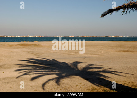 444 fällt die weitläufige Schatten einer Palme am Meer auf einem leeren Parkplatz Stockfoto