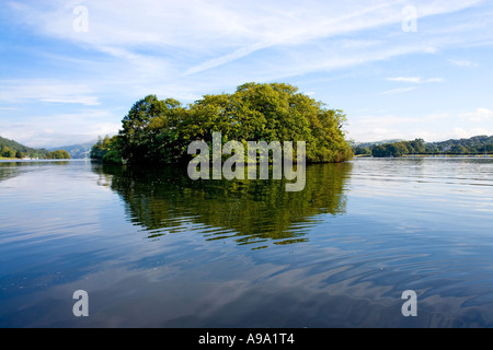 Lake Windermere kleine Insel bedeckt In Bäume mitten auf dem See, der Lake District Cumbria England UK Stockfoto