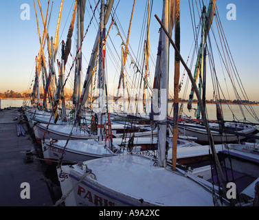 Feluken warten auf Passagiere in den frühen Morgenstunden auf dem Nil bei Luxor Ägypten Stockfoto